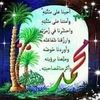 Tarek Mohamed