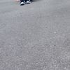 speedididi