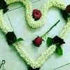 youssefalziyadi4