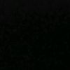_ion.17392