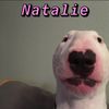 natty.hay