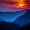 jaycee_449