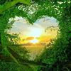gislas357gmailcomisland2