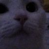 mii_imiiii
