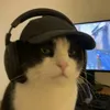 pussycat12344