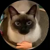 Kaue