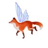 foxxe 🦊
