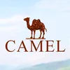CAMEL SHOES
