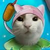 kittylord163
