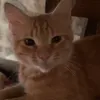 anotheryeagerist