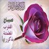 abdullahalshehhi12