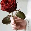hayaalotaibi_l