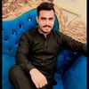 syedalihamza7862