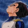 prince.of.all.saiyans2