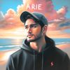arie4942