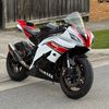 rinzler.r6