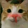 kuso_yar0u