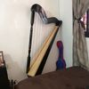 gregot_55