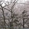 dyj3ge37u7lm