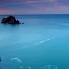 salwama4