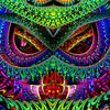 mertoktheowl