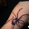 spiders013