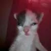 noursahar12