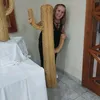 antoniagago1