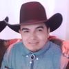 chalinos31