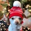 thor_805