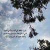user9251066344553