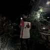 tponz_237
