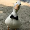 pavleb_08
