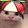 hohoheheboai