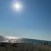 nunzialagatta1
