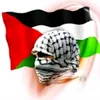 om.saad528