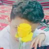 user520491968