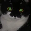 o0o0o0o0o0o1975