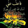 user631697537