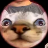 pussirasclat