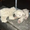 hautloserbastard
