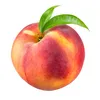 clapeche