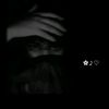 roza_dzz18