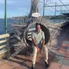 josepliegogomez