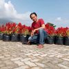 anwar37994