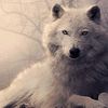 user05019850