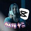 nathansguin