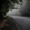 user42069orwhatever