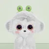 kyut0kki