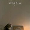 la.na_lyd